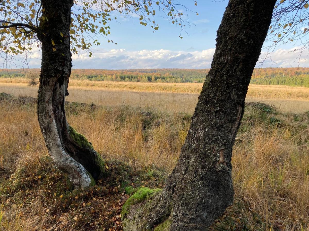 Apartmán Le Relais Du Moustier Grune Exteriér fotografie